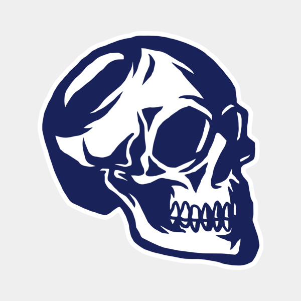 Elements Skulls logo template 139 Miniatura