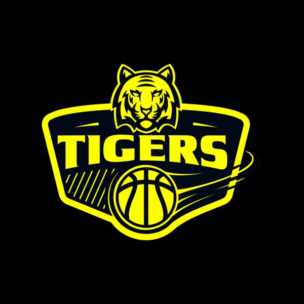 Basketball 35 Miniatura