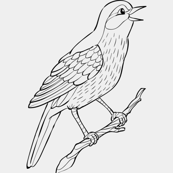 Nightingale   Clipart 2 Miniatura