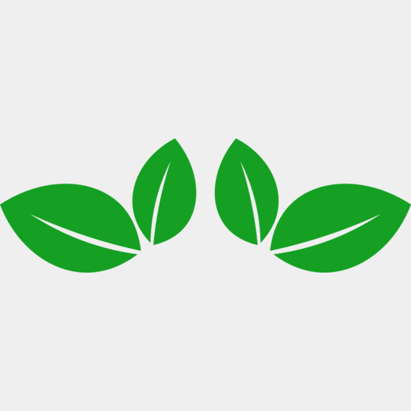 11 Leaves Thumbnail