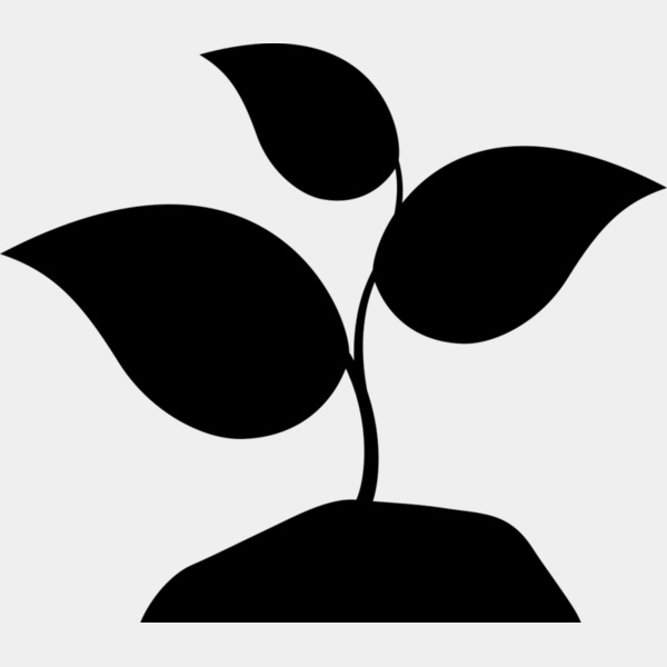 42 Plant Miniatura