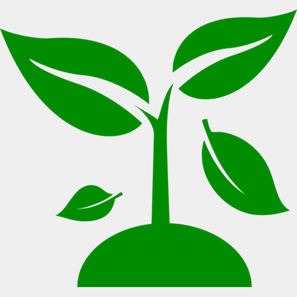 48 Plant Miniatura