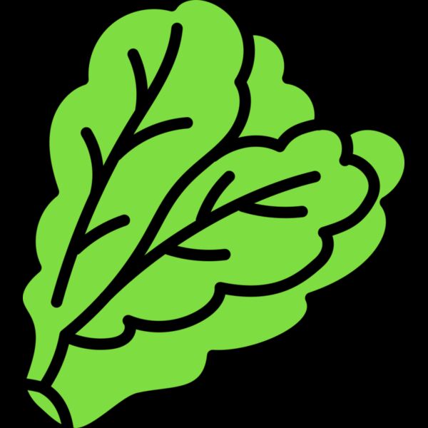 Lettuce Miniatura
