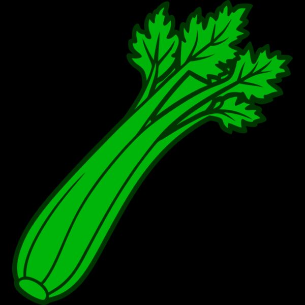 Celery Miniatura