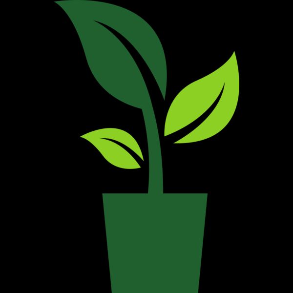 Potted Plant Thumbnail