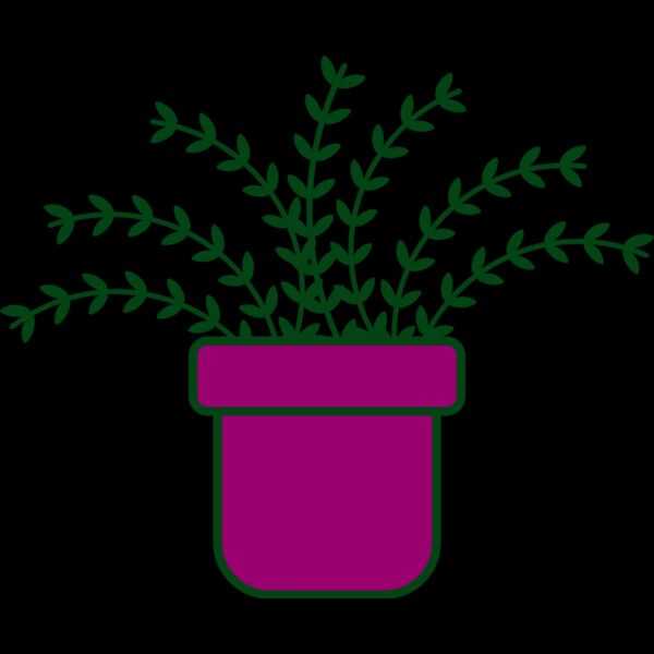 Plant 3 Thumbnail