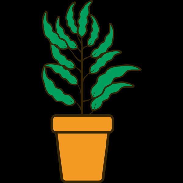 Plant 2 Thumbnail