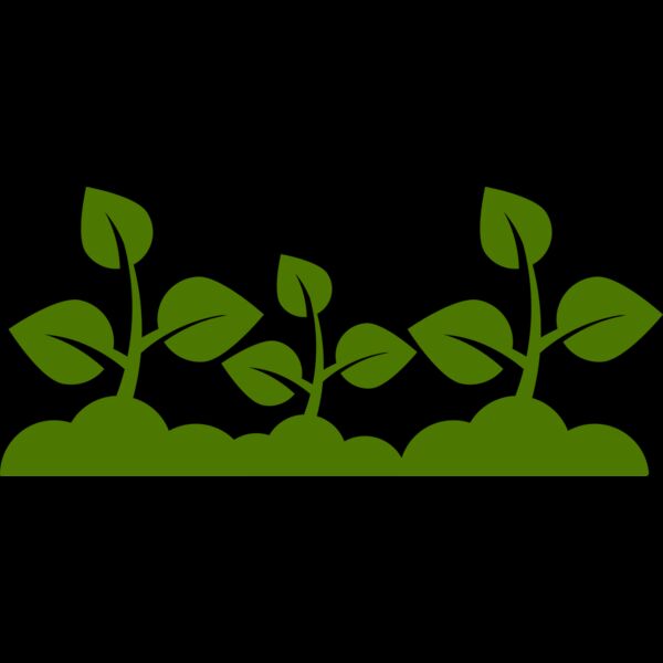 Plant Leaves Thumbnail