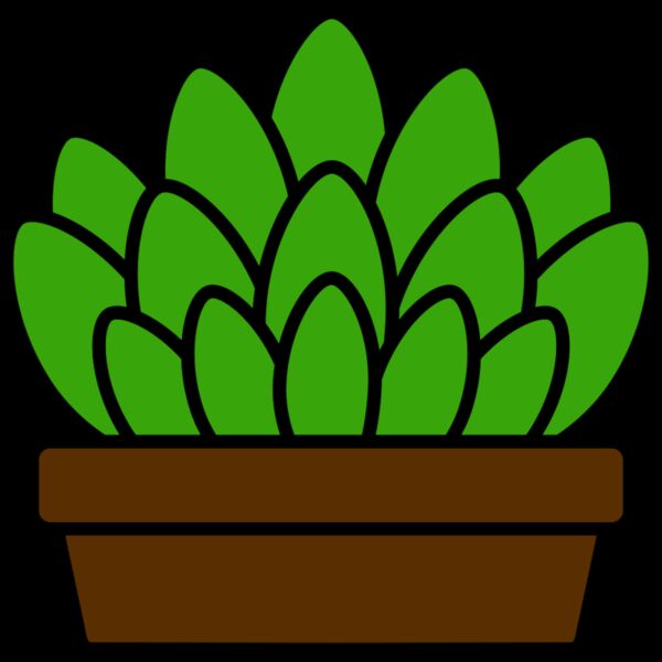 Succulent Plant Thumbnail