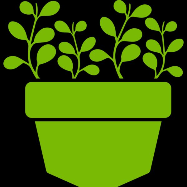 Succulent Plant 3 Thumbnail