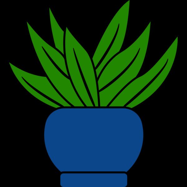 Succulent Plant 2 Thumbnail