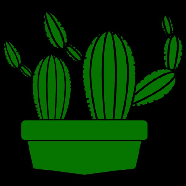 Cactus 5 Thumbnail