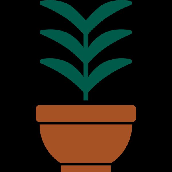 Plant 2 Thumbnail