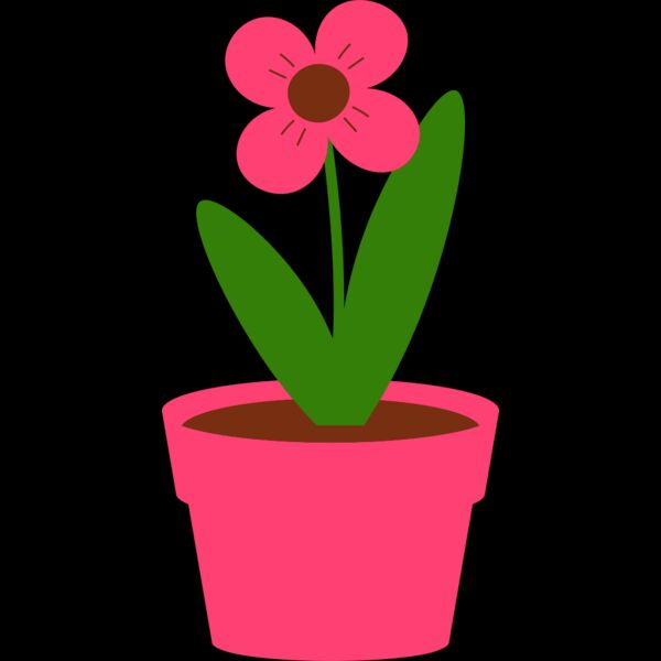 Plant 4 Thumbnail