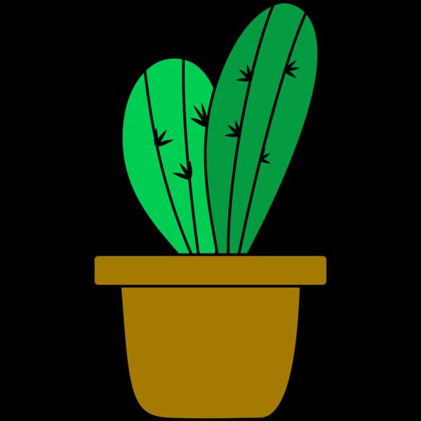 Cactus 4 Thumbnail