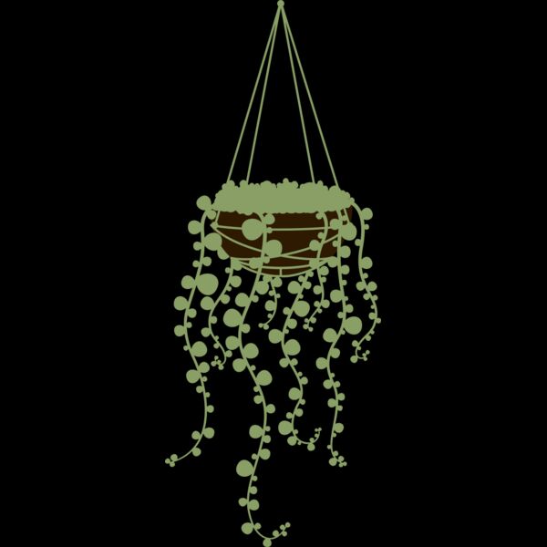 Hanging Plants 3 Thumbnail