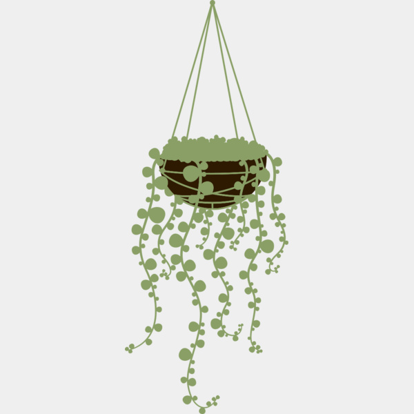 Hanging Plants 3 Thumbnail