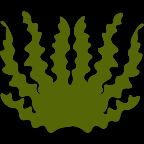 Sea Plant 2 Thumbnail