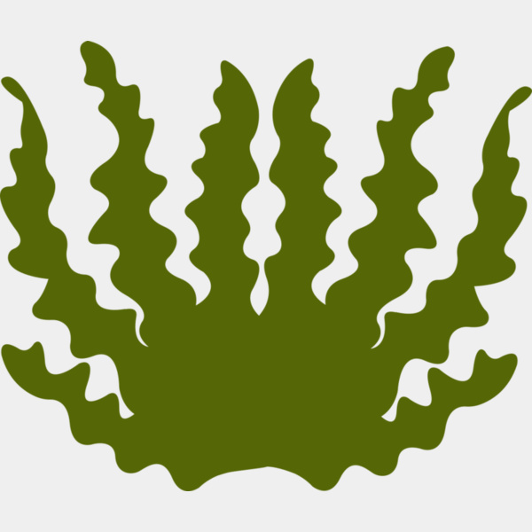 Sea Plant 2 Thumbnail