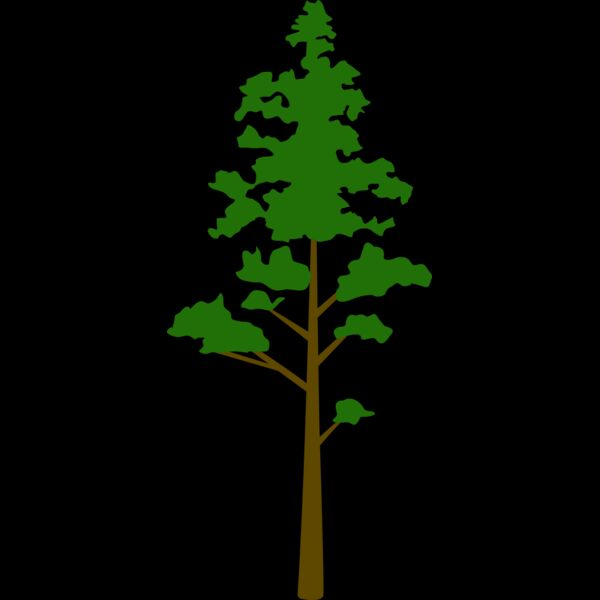 Tree Plant 8 Thumbnail