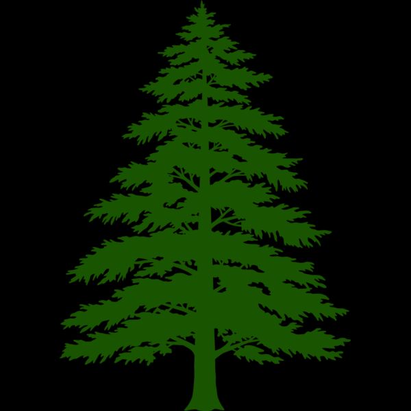 Tree Plant 3 Thumbnail