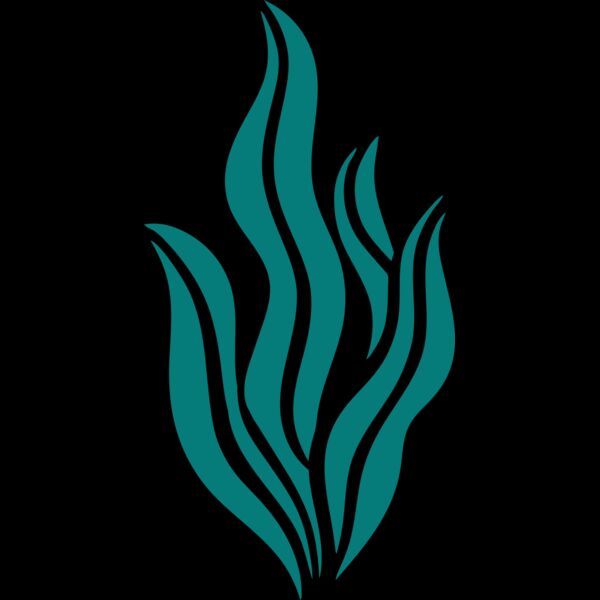 Sea Plants 6 Thumbnail