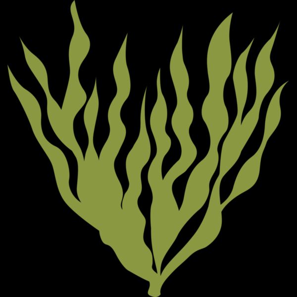 Sea Plants 5 Thumbnail