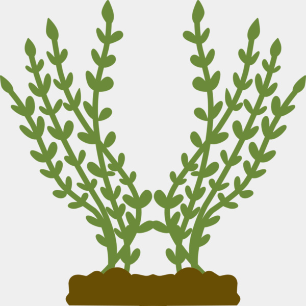 Plants 4 Thumbnail