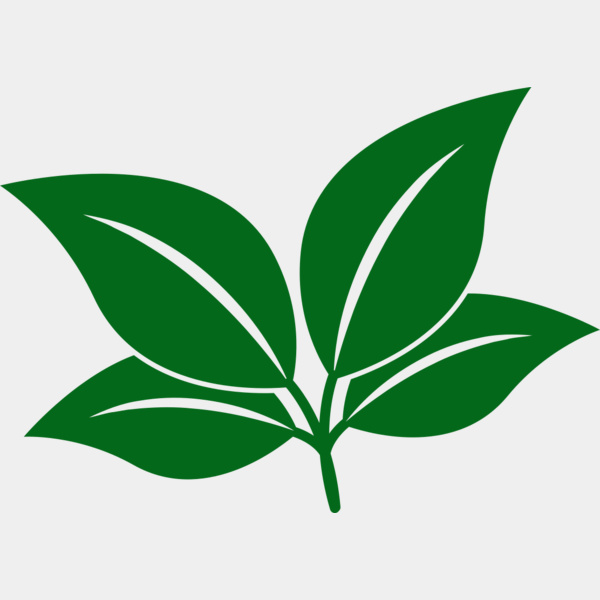 Leaves Thumbnail