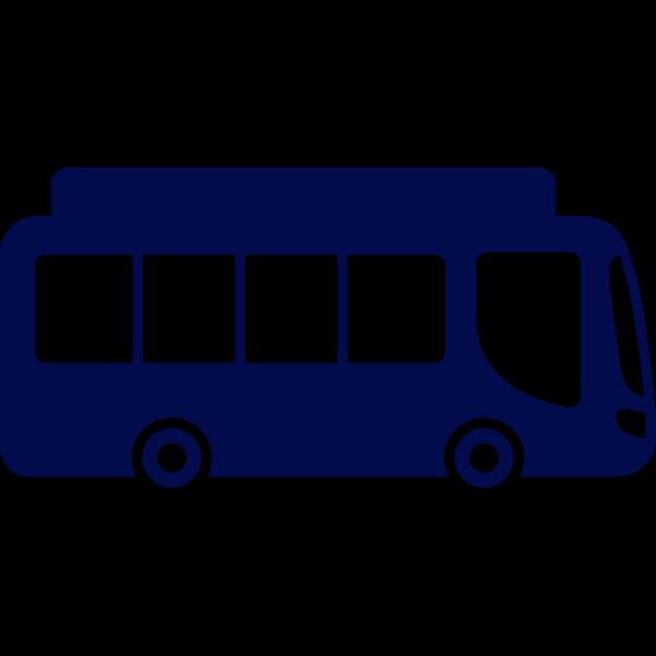 Public Bus 2 Miniatura